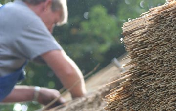 professional Condorrat thatchers